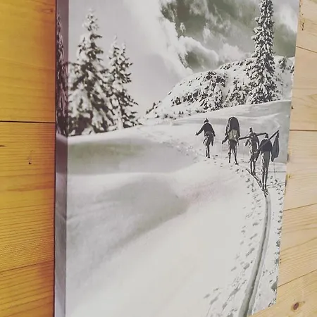 Hof Oberhaus 팜스테이 키츠부헬