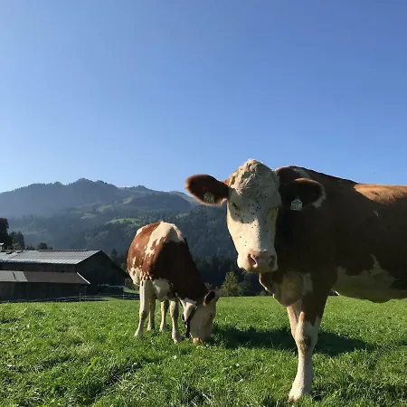 Bauernhof Hof Oberhaus Kitzbühel