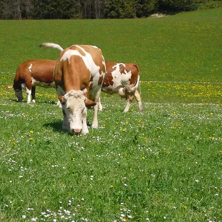 Lantgård Hof Oberhaus