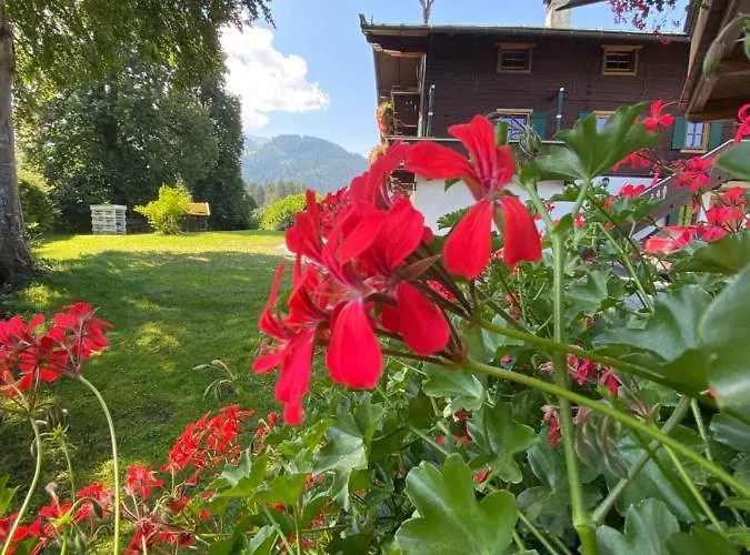 Hof Oberhaus Feriegård Kitzbühel