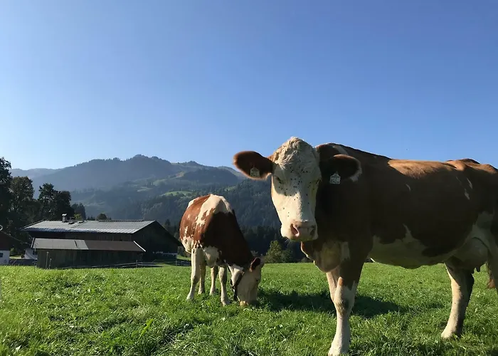 Alojamento de Turismo Rural Hof Oberhaus Kitzbühel