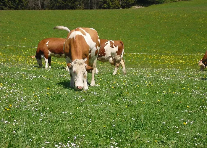 Alojamento de Turismo Rural Hof Oberhaus