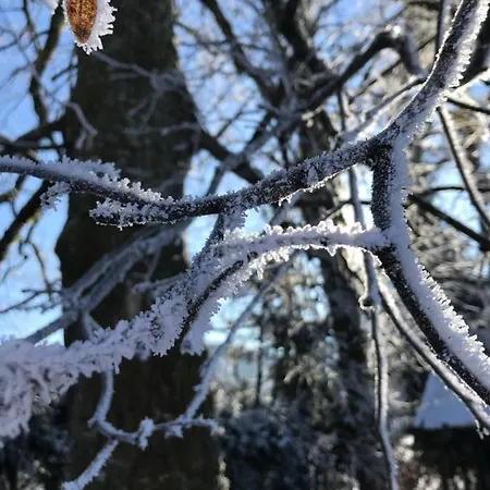 Hof Oberhaus Farma Kitzbühel